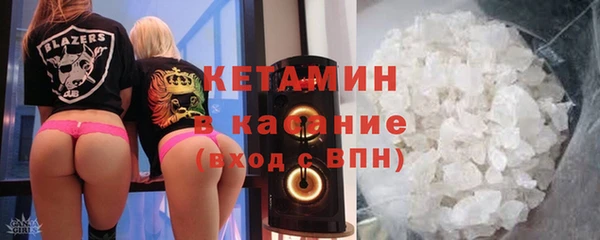 шишки Бородино