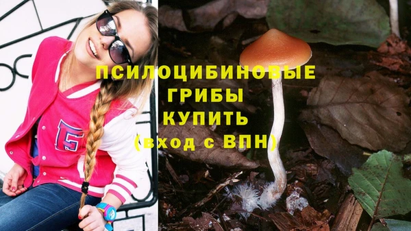 шишки Бородино