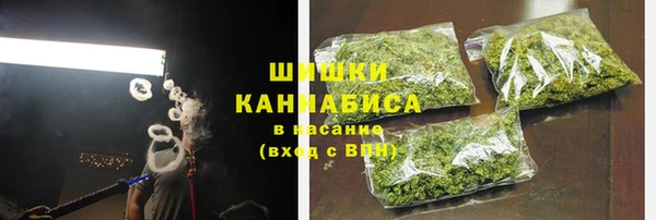 шишки Бородино