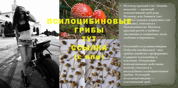 мдма Бронницы