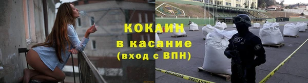 шишки Бородино