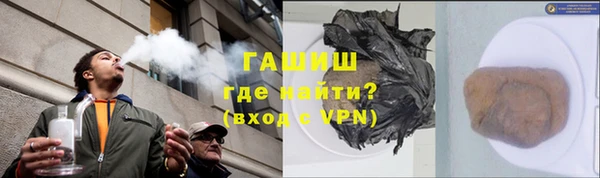 шишки Бородино