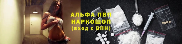 шишки Бородино