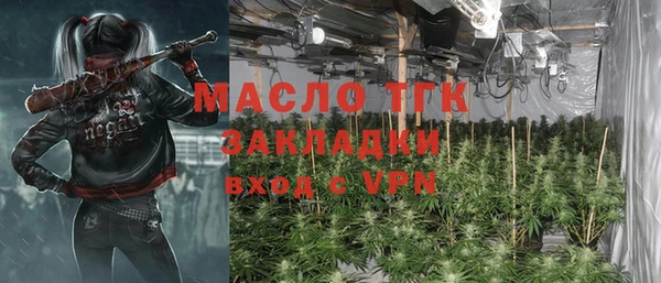 шишки Бородино