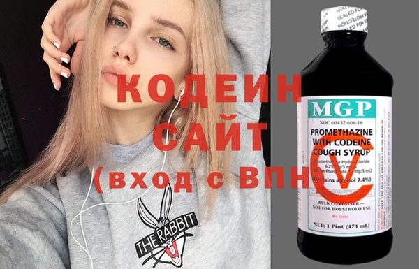 шишки Бородино