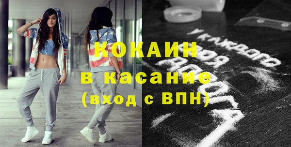 шишки Бородино