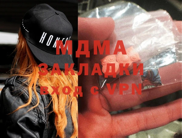 шишки Бородино