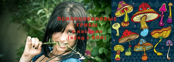 шишки Бородино
