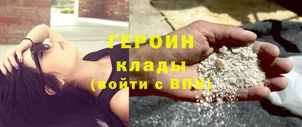 шишки Бородино