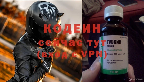 шишки Бородино