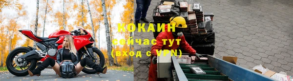 шишки Бородино